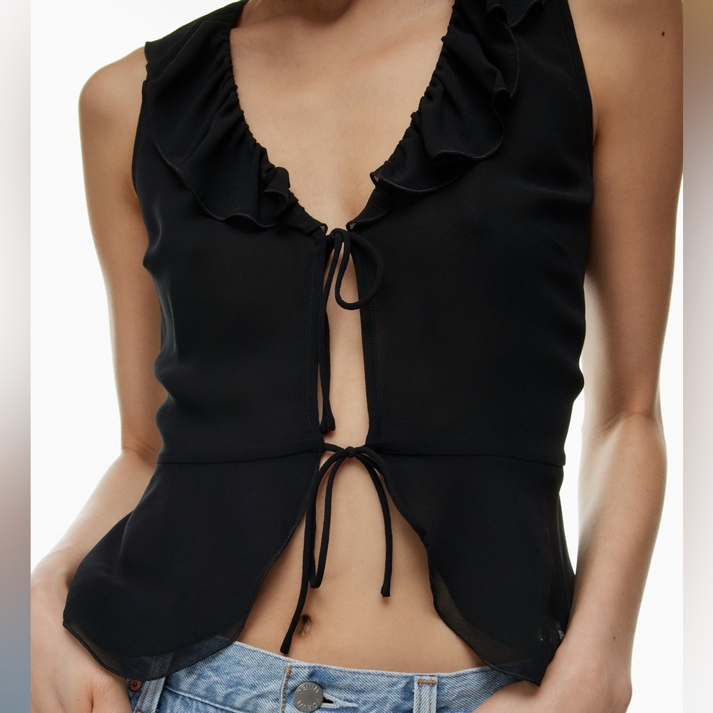 Aritzia Wilfred Flitter Blouse